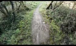Video: Bike Park Ireland Black 3
