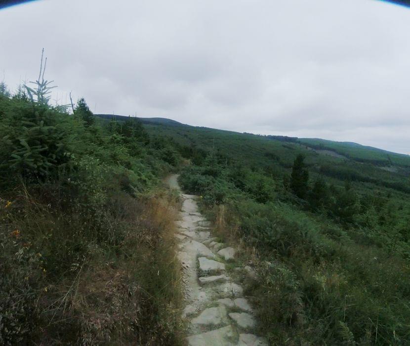 Ballyhoura Gravity Enduro stage two