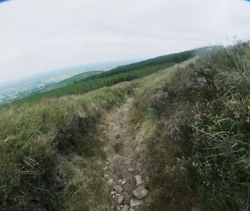 Ballyhoura Gravity Enduro stage 4