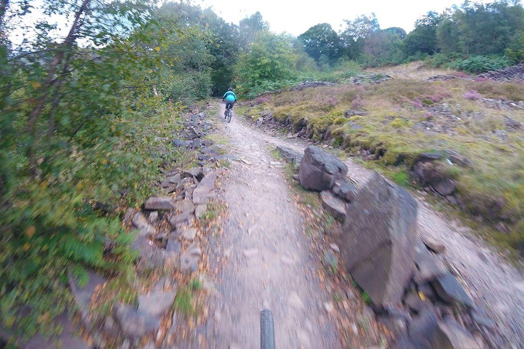 Bikepark Wales mountian bike trails