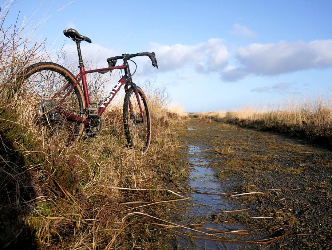 Exploring trails on a gravel bike