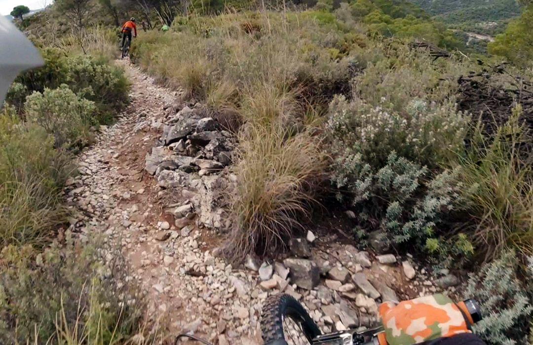 Switchbacks MTB Brohammer trail