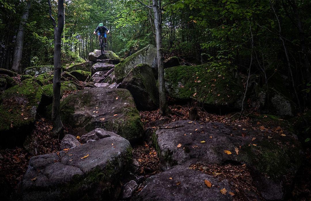 Trail built to celebrate the tenth anniversary of Rychlebske Stezky trailhead