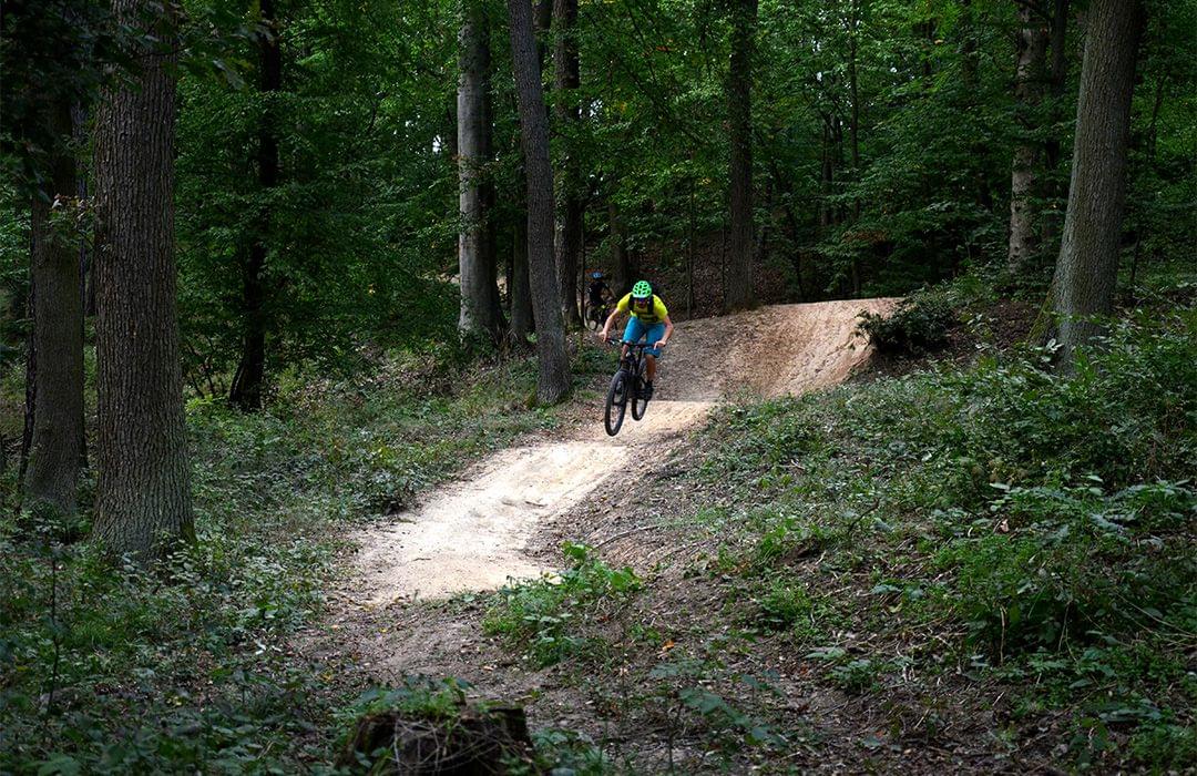 Blue graded MTB flow trails in the Czech Republic