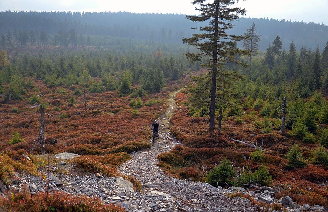 Czech mountainbiking single track