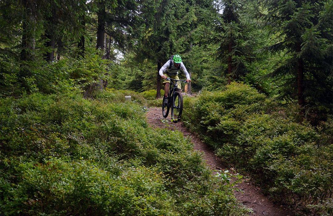 Rychlebske mountain bike trails