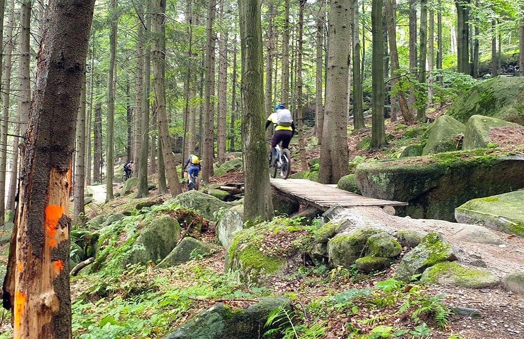 Technical singletrack mtb climbs