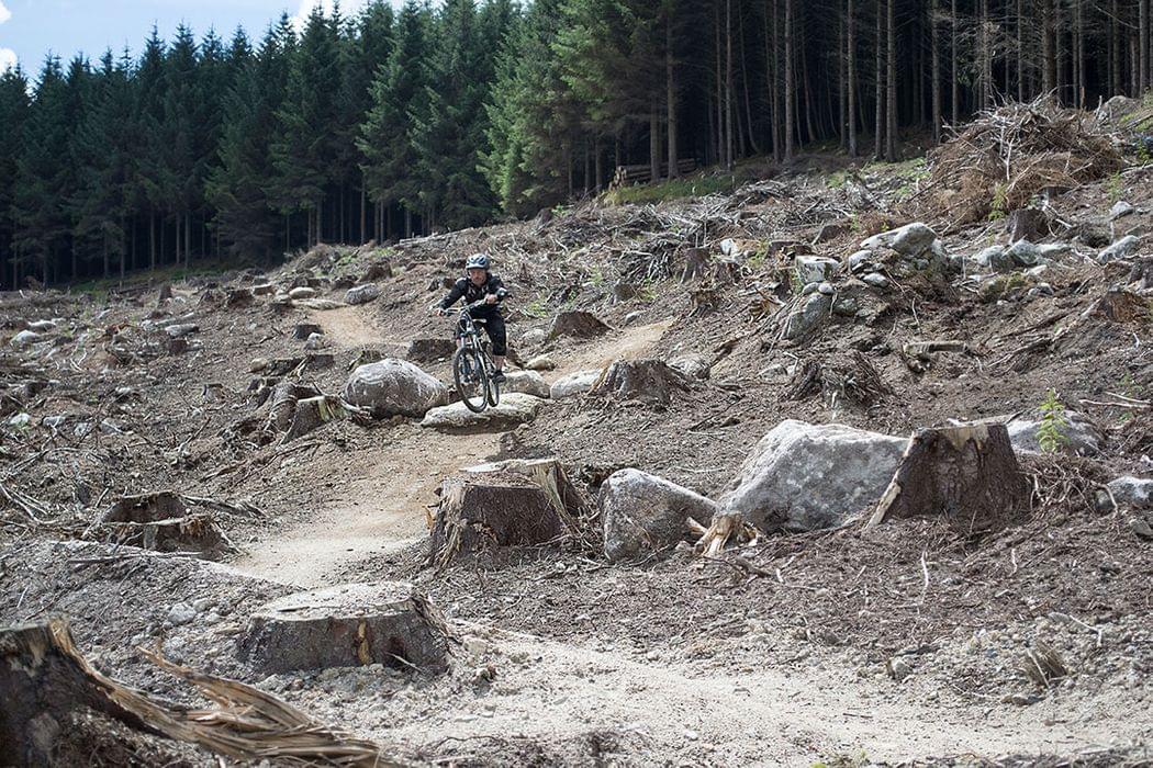 MTB bike park Glencullen Adventure Park