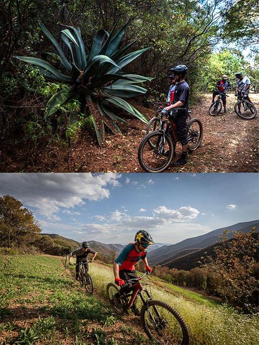 Mexico mountain bike advwenture