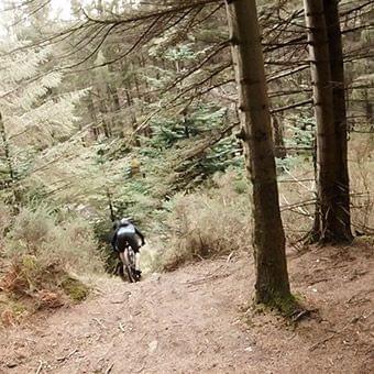 natural mtb trails wicklow ireland