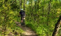 Planning A Post-Lockdown Mountain Biking Trip: The Only Guide You Need