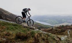 Schwalbe Wicked Will: A tire with no limits