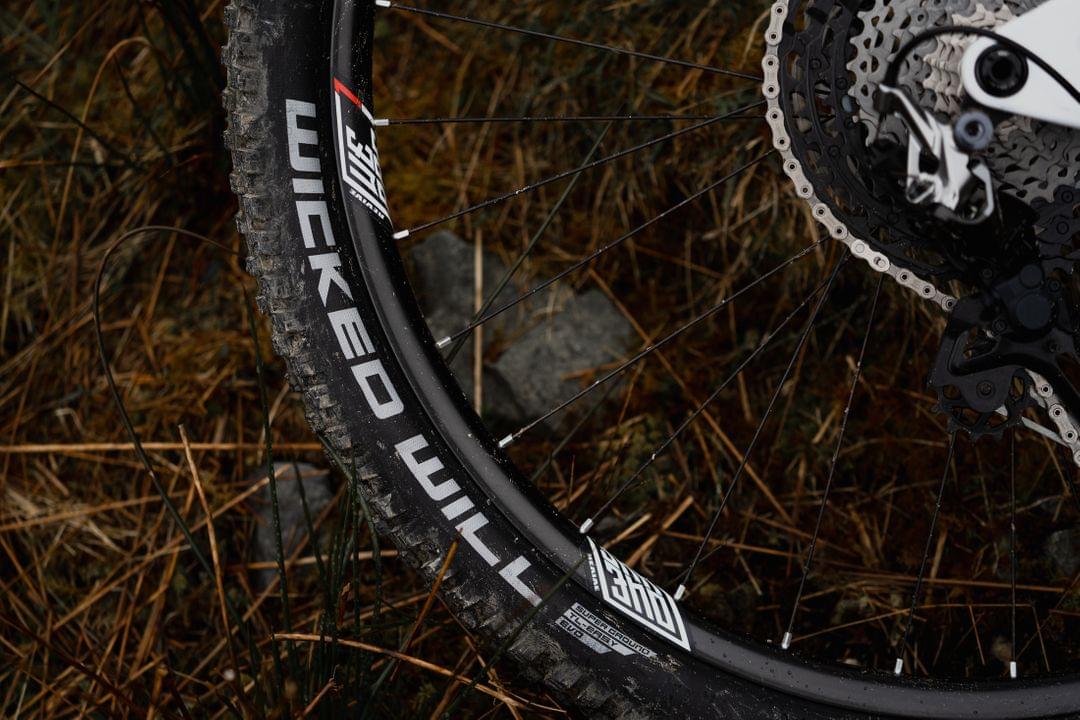 Schwalbe Wicked Will mountain bike tire