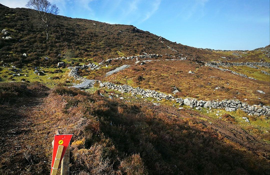 Kerry bike park