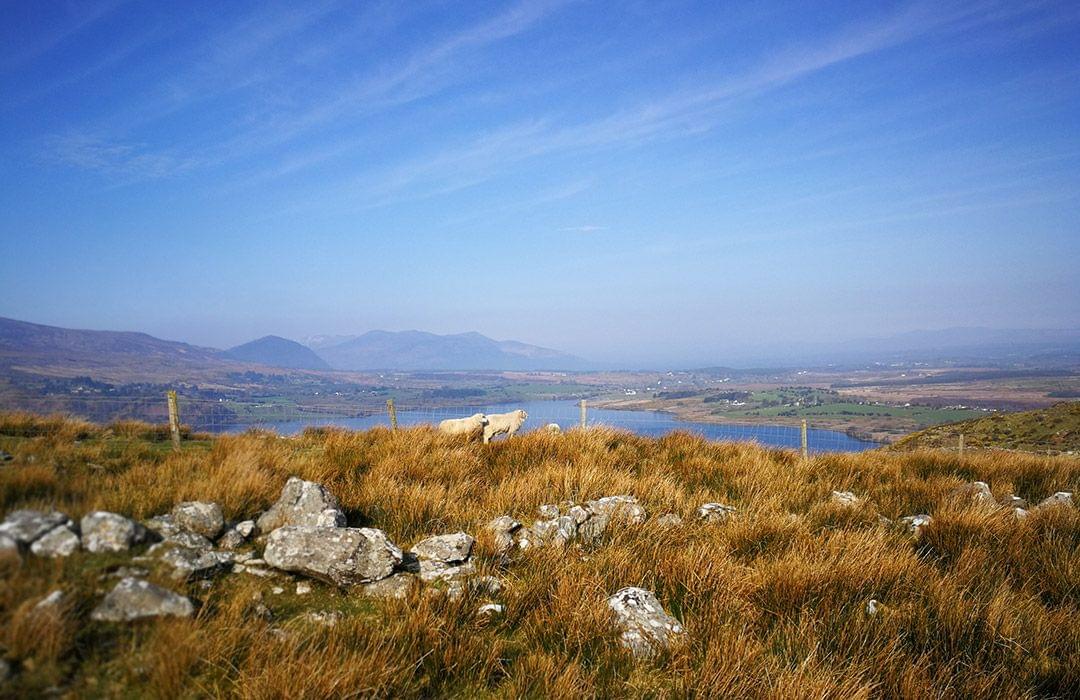 Lough Guitane views