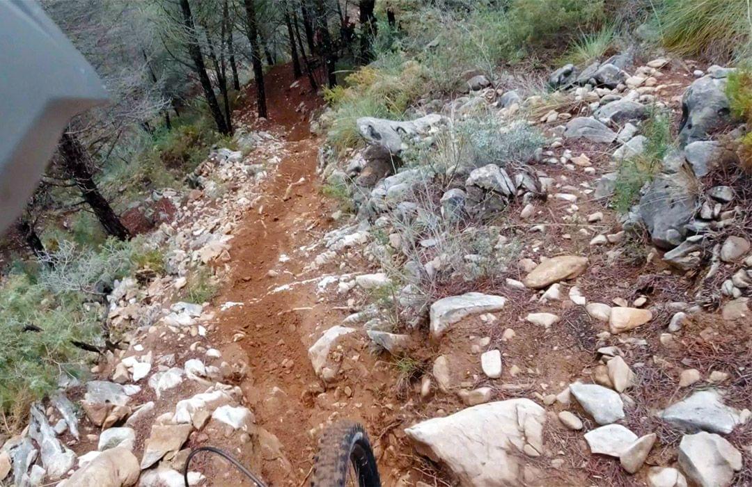 Lomo custom built trail by Switchbacks MTB