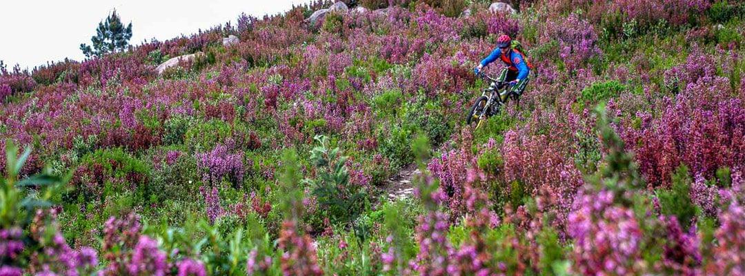 The MTB Adventure in Portugal