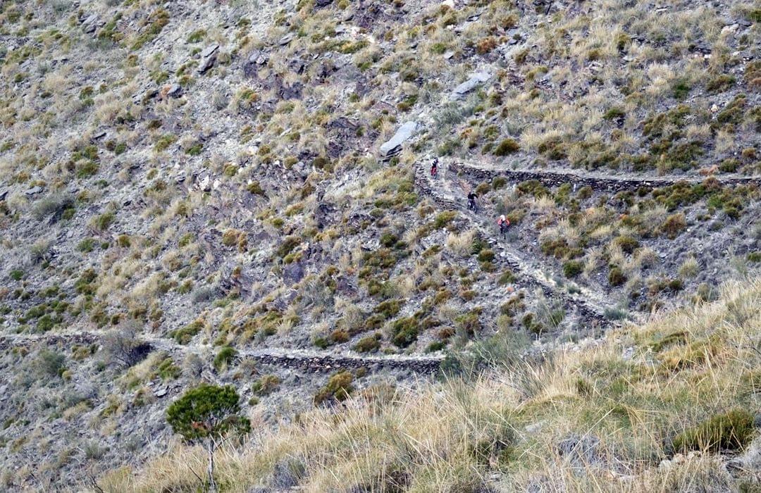 59 switchbacks of Very Freaky